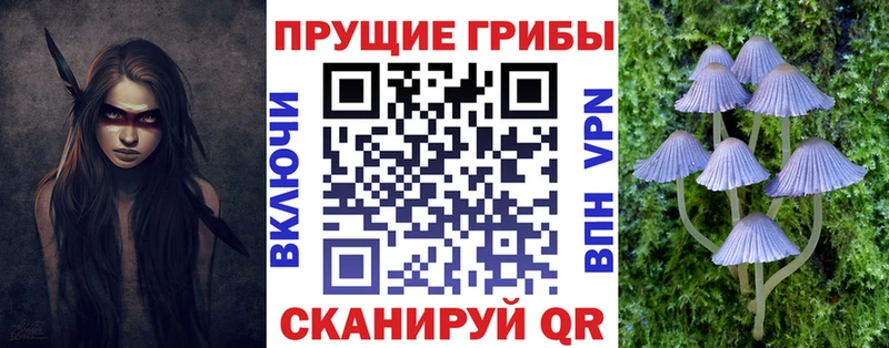 hydra вход  купить наркотик  Ак-Довурак  Галлюциногенные грибы Psilocybe 